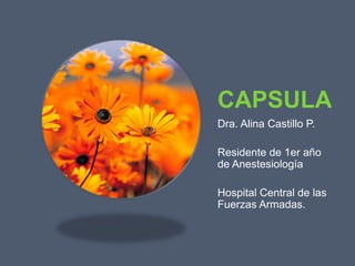 CAPSULA Dra. Alina Castillo P. Residente de 1er año de Anestesiología Hospital Central de las Fuerzas Armadas. 