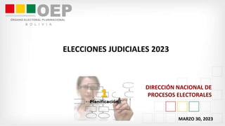 ELECCIONES JUDICIALES 2023
DIRECCIÓN NACIONAL DE
PROCESOS ELECTORALES
MARZO 30, 2023
 