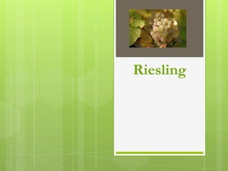 Riesling
 