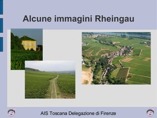 Alcune immagini Rheingau 