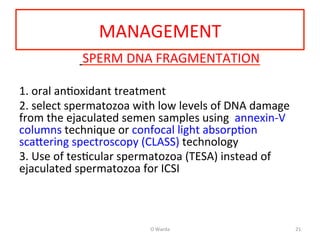 MANAGEMENT	
  
	
  	
  	
  	
  	
  	
  	
  	
  	
  	
  	
  	
  	
  	
  	
  	
  	
  	
  	
  	
  	
  	
  	
  	
  	
  	
  	
  	
  	
  	
  	
  	
  	
  	
  	
  	
  	
  	
  	
  	
  	
  	
  SPERM	
  DNA	
  FRAGMENTATION	
  	
  
	
  
1.	
  oral	
  anAoxidant	
  treatment	
  	
  
2.	
  select	
  spermatozoa	
  with	
  low	
  levels	
  of	
  DNA	
  damage	
  
from	
  the	
  ejaculated	
  semen	
  samples	
  using	
  	
  annexin-­‐V	
  
columns	
  technique	
  or	
  confocal	
  light	
  absorpAon	
  
sca[ering	
  spectroscopy	
  (CLASS)	
  technology	
  
3.	
  Use	
  of	
  tesAcular	
  spermatozoa	
  (TESA)	
  instead	
  of	
  
ejaculated	
  spermatozoa	
  for	
  ICSI	
  	
  
	
  
	
  
	
  	
  
	
  
O	
  Warda	
   21	
  
 