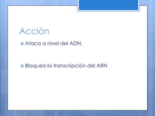 Acción
Ataca a nivel del ADN.
Bloquea la transcripción del ARN