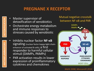 PREGNANE X RECEPTOR
• Master supervisor of
detoxification of xenobiotics
• Orchestrate energy metabolism
and immune responses to
stresses caused by xenobiotic
• Inhibits nuclear factor NF-κB
signaling (nuclear factor kappa-light-chain-
enhancer of activated B cells), a first
responder to harmful cellular
stimuli (DAMPs, PAMPs)
• PXR activation results in lower
expression of proinflammatory
cytokines and chemokines
Wahli 2008; Mencarelli 2010
TLR
NF-κBPXR
XENOBIOTIC
RESPONSE
PROINFLAMMATORY
CYTOKINES
CHEMOKINES
Mutual negative crosstalk
between NF-κB and PXR
DAMPs
PAMPs
HOST CELL
ANTIINFLAMMATORYDETOXIFICATION
 
