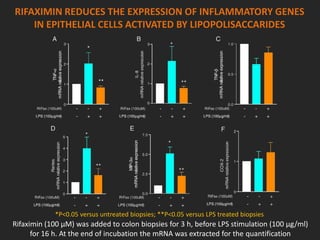 RIFAXIMIN REDUCES THE EXPRESSION OF INFLAMMATORY GENES
IN EPITHELIAL CELLS ACTIVATED BY LIPOPOLISACCARIDES
Rifaximin (100 μM) was added to colon biopsies for 3 h, before LPS stimulation (100 μg/ml)
for 16 h. At the end of incubation the mRNA was extracted for the quantification
*P<0.05 versus untreated biopsies; **P<0.05 versus LPS treated biopsies
 