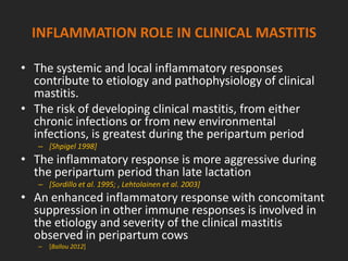 INFLAMMATION ROLE IN CLINICAL MASTITIS
• The systemic and local inflammatory responses
contribute to etiology and pathophysiology of clinical
mastitis.
• The risk of developing clinical mastitis, from either
chronic infections or from new environmental
infections, is greatest during the peripartum period
– [Shpigel 1998]
• The inflammatory response is more aggressive during
the peripartum period than late lactation
– [Sordillo et al. 1995; , Lehtolainen et al. 2003]
• An enhanced inflammatory response with concomitant
suppression in other immune responses is involved in
the etiology and severity of the clinical mastitis
observed in peripartum cows
– [Ballou 2012]
 