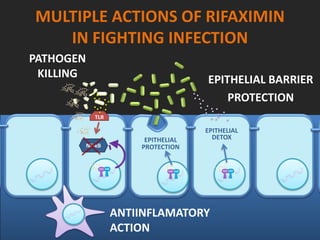 MULTIPLE ACTIONS OF RIFAXIMIN
IN FIGHTING INFECTION
PATHOGEN
KILLING
ANTIINFLAMATORY
ACTION
EPITHELIAL BARRIER
PROTECTION
EPITHELIAL
PROTECTION
EPITHELIAL
DETOX
 