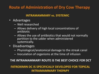 Route of Administration of Dry Cow Therapy
• Advantages
– Well researched
– Allows delivery of high local concentrations of
antibiotic
– Allows the use of antibiotics that would not normally
partition to the udder when administered
systemically.
• Disadvantages
– Physiological/anatomical damage to the streak canal
– Inoculation of organisms at the time of infusion
THE INTRAMAMMARY ROUTE IS THE BEST CHOICE FOR DCT
INTRAMAMMARY vs. SYSTEMIC
FATROXIMIN DC IS SPECIFICALLY DEVELOPED FOR TOPICAL
INTRAMAMMARY THEPAPY
 
