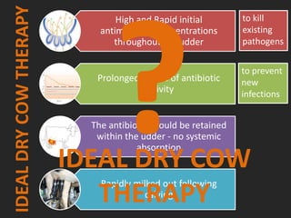 IDEALDRYCOWTHERAPY High and Rapid initial
antimicrobial concentrations
throughout the udder
Prolonged period of antibiotic
activity
The antibiotic should be retained
within the udder - no systemic
absorption
Rapidly milked out following
calving
to kill
existing
pathogens
to prevent
new
infections
IDEAL DRY COW
THERAPY
 