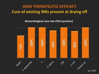 HIGH THERAPEUTIC EFFICACY
Cure of existing IMIs present at drying off
73%
100%
100%
90%
100%
88%
100%
Bacteriological cure rate (554 quarters)
Sol 1997
 