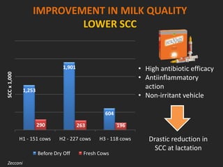 IMPROVEMENT IN MILK QUALITY
LOWER SCC
1,253
1,901
604
290 263 196
H1 - 151 cows H2 - 227 cows H3 - 118 cows
SCCx1,000
Before Dry Off Fresh Cows
• High antibiotic efficacy
• Antiinflammatory
action
• Non-irritant vehicle
Drastic reduction in
SCC at lactation
Zecconi
 