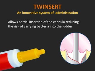 TWINSERT
An innovative system of administration
Allows partial insertion of the cannula reducing
the risk of carrying bacteria into the udder
 
