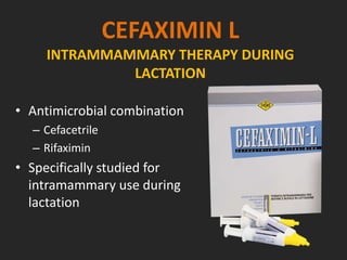 CEFAXIMIN L
INTRAMMAMMARY THERAPY DURING
LACTATION
• Antimicrobial combination
– Cefacetrile
– Rifaximin
• Specifically studied for
intramammary use during
lactation
 