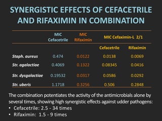 SYNERGISTIC EFFECTS OF CEFACETRILE
AND RIFAXIMIN IN COMBINATION
MIC
Cefacetrile
MIC
Rifaximin
MIC Cefaximin-L 2/1
Cefacetrile Rifaximin
Staph. aureus 0.474 0.0122 0.0138 0.0069
Str. agalactiae 0.4069 0.1322 0.08345 0.0416
Str. dysgalactiae 0.19532 0.0317 0.0586 0.0292
Str. uberis 1.1718 0.3256 0.506 0.2848
The combination potentiates the activity of the antimicrobials alone by
several times, showing high synergistic effects against udder pathogens:
• Cefacetrile: 2.5 - 34 times
• Rifaximin: 1.5 - 9 times
 