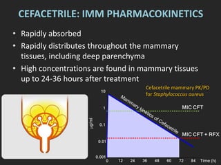 CEFACETRILE: IMM PHARMACOKINETICS
• Rapidly absorbed
• Rapidly distributes throughout the mammary
tissues, including deep parenchyma
• High concentrations are found in mammary tissues
up to 24-36 hours after treatment
Cefacetrile mammary PK/PD
for Staphylococcus aureus
 