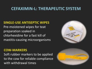 CEFAXIMIN-L: THERAPEUTIC SYSTEM
COW-MARKERS
Soft rubber markers to be applied
to the cow for reliable compliance
with withdrawal times
SINGLE-USE ANTISEPTIC WIPES
Pre-moistened wipes for teat
preparation soaked in
chlorhexidine for a fast kill of
mastitis-causing microorganisms
 