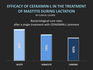 EFFICACY OF CEFAXIMIN-L IN THE TREATMENT
OF MASTITIS DURING LACTATION
89%
74%
65%
ACUTE SUBACUTE CHRONIC
Bacteriological cure rates
after a single treatment with CEFAXIMIN-L ointment
BY CLINICAL COURSE
 