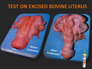 TEST ON EXCISED BOVINE UTERUS
 