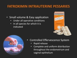 FATROXIMIN INTRAUTERINE PESSARIES
• Small volume & Easy application
• Under all operative conditions
• In all species for which it is
indicated
• Controlled Effervescence System
• Rapid release
• Complete and uniform distribution
throughout the endometrium and
vaginal epithelium
 
