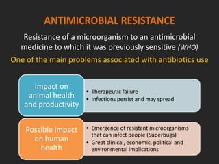 ANTIMICROBIAL RESISTANCE
Resistance of a microorganism to an antimicrobial
medicine to which it was previously sensitive (WHO)
One of the main problems associated with antibiotics use
• Therapeutic failure
• Infections persist and may spread
Impact on
animal health
and productivity
• Emergence of resistant microorganisms
that can infect people (Superbugs)
• Great clinical, economic, political and
environmental implications
Possible impact
on human
health
 