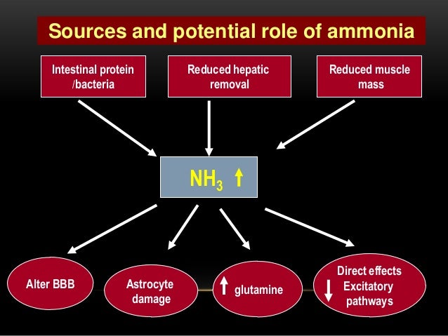 Natural Treatment For Hepatic Encephalopathy Natural Treatment For Hepatic Encephalopathy