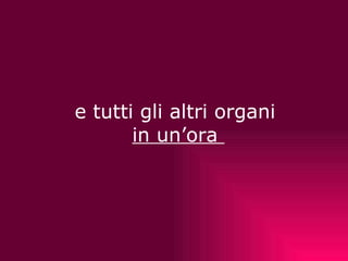   e tutti gli altri organi  in un’ora  