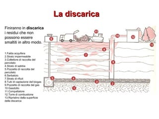 La discaricaLa discarica
Finiranno in discarica
i residui che non
possono essere
smaltiti in altro modo.
1.Falda acquifera
2.Strato impermeabile
3.Collettore di raccolta del
percolato
4.Strato di sabbia
5.Pozzetto di raccolta del
percolato
6.Serbatoio
7.Strato di rifiuti
8.Tubi di captazione del biogas
9.Pozzetto di raccolta del gas
10.Gasdotto
11.Compattatore
12.Torre di combustione
13.Ripristino della superficie
della discarica
 