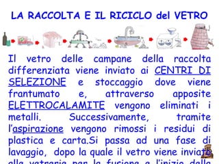LA RACCOLTA E IL RICICLO del VETRO Il vetro delle campane della raccolta differenziata viene inviato ai  CENTRI DI SELEZIONE  e stoccaggio dove viene frantumato e, attraverso apposite  ELETTROCALAMITE  vengono eliminati i metalli. Successivamente, tramite l’ aspirazione  vengono rimossi i residui di plastica e carta.Si passa ad una fase di lavaggio,  dopo la quale il vetro viene inviato alle vetrerie per la fusione e l’inizio della seconda vita. 