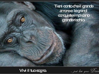 Tieni conto che il grande amore e  le grandi conquiste implicano grande rischio. Vivi il tuo sogno. 