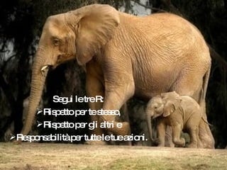 Segui le tre R: Rispetto per te stesso, Rispetto per gli altri e Responsabilità per tutte le tue azioni. 
