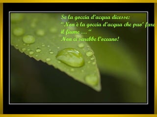 Riflessioni Sulla Vita