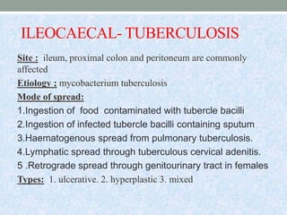 ILEOCAECAL- TUBERCULOSIS
Site : ileum, proximal colon and peritoneum are commonly
affected
Etiology ; mycobacterium tuberculosis
Mode of spread:
1.Ingestion of food contaminated with tubercle bacilli
2.Ingestion of infected tubercle bacilli containing sputum
3.Haematogenous spread from pulmonary tuberculosis.
4.Lymphatic spread through tuberculous cervical adenitis.
5 .Retrograde spread through genitourinary tract in females
Types: 1. ulcerative. 2. hyperplastic 3. mixed
 