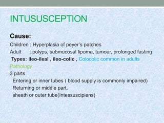 INTUSUSCEPTION
Cause:
Children : Hyperplasia of peyer’s patches
Adult : polyps, submucosal lipoma, tumour, prolonged fasting
Types: ileo-ileal , ileo-colic , Colocolic common in adults
Pathology
3 parts
Entering or inner tubes ( blood supply is commonly impaired)
Returning or middle part,
sheath or outer tube(Intessuscipiens)
 