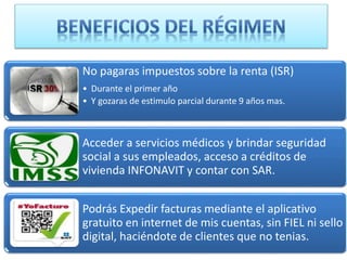 No pagaras impuestos sobre la renta (ISR) 
• Durante el primer año 
• Y gozaras de estimulo parcial durante 9 años mas. 
Acceder a servicios médicos y brindar seguridad 
social a sus empleados, acceso a créditos de 
vivienda INFONAVIT y contar con SAR. 
Podrás Expedir facturas mediante el aplicativo 
gratuito en internet de mis cuentas, sin FIEL ni sello 
digital, haciéndote de clientes que no tenias. 
 