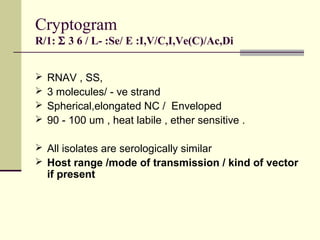Cryptogram
R/1: Σ 3 6 / L- :Se/ E :I,V/C,I,Ve(C)/Ac,Di


   RNAV , SS,
   3 molecules/ - ve strand
   Spherical,elongated NC / Enveloped
   90 - 100 um , heat labile , ether sensitive .

 All isolates are serologically similar
 Host range /mode of transmission / kind of vector
    if present
 