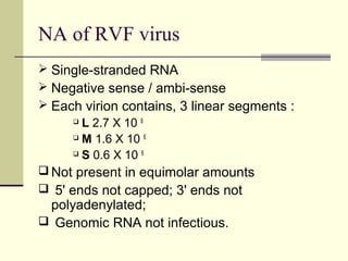 NA of RVF virus
 Single-stranded RNA
 Negative sense / ambi-sense
 Each virion contains, 3 linear segments :
       L 2.7 X 10 6

       M 1.6 X 10 6

       S 0.6 X 10 6

 Not present in equimolar amounts
 5' ends not capped; 3' ends not
 polyadenylated;
 Genomic RNA not infectious.
 