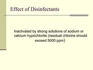 Effect of Disinfectants


 Inactivated by strong solutions of sodium or
 calcium hypochlorite (residual chlorine should
              exceed 5000 ppm)
 
