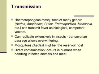 Transmission

 Haematophagous mosquitoes of many genera
  (Aedes, Anopheles, Culex, Eretmapodites, Mansonia,
  etc.) can transmit fever as biological, competent
  vectors.
 Can replicate extensively in insects - transovarian
  passage allows overwintering.
 Mosquitoes (Aedes) migt be the reservoir host
 Direct contamination: occurs in humans when
  handling infected animals and meat
 