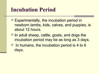 Incubation Period
 Experimentally, the incubation period in
  newborn lambs, kids, calves, and puppies, is
  about 12 hours.
 In adult sheep, cattle, goats, and dogs the
  incubation period may be as long as 3 days.
 In humans, the incubation period is 4 to 6
  days.
 