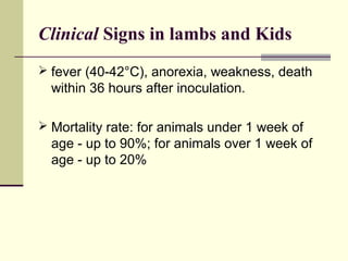 Clinical Signs in lambs and Kids
 fever (40-42°C), anorexia, weakness, death
  within 36 hours after inoculation.

 Mortality rate: for animals under 1 week of
  age - up to 90%; for animals over 1 week of
  age - up to 20%
 