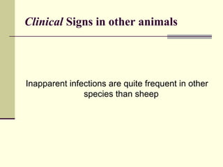 Clinical Signs in other animals




Inapparent infections are quite frequent in other
               species than sheep
 