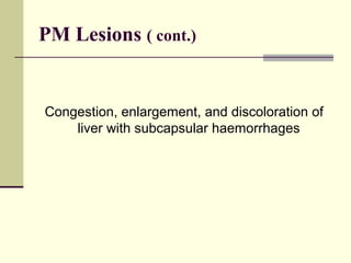 PM Lesions ( cont.)


Congestion, enlargement, and discoloration of
    liver with subcapsular haemorrhages
 