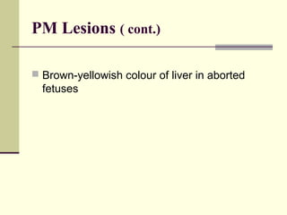 PM Lesions ( cont.)

 Brown-yellowish colour of liver in aborted
  fetuses
 