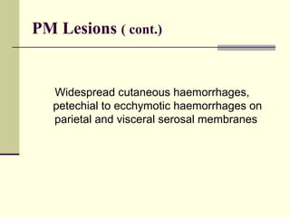 PM Lesions ( cont.)


   Widespread cutaneous haemorrhages,
   petechial to ecchymotic haemorrhages on
   parietal and visceral serosal membranes
 