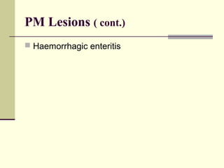PM Lesions ( cont.)
 Haemorrhagic enteritis
 