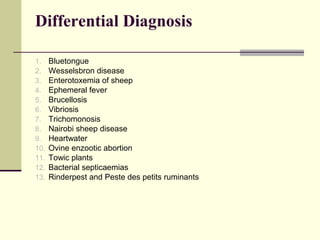 Differential Diagnosis

1.    Bluetongue
2.    Wesselsbron disease
3.    Enterotoxemia of sheep
4.    Ephemeral fever
5.    Brucellosis
6.    Vibriosis
7.    Trichomonosis
8.    Nairobi sheep disease
9.    Heartwater
10.   Ovine enzootic abortion
11.   Towic plants
12.   Bacterial septicaemias
13.   Rinderpest and Peste des petits ruminants
 