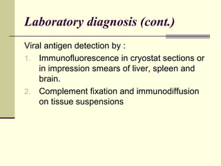 Laboratory diagnosis (cont.)
Viral antigen detection by :
1. Immunofluorescence in cryostat sections or
    in impression smears of liver, spleen and
    brain.
2. Complement fixation and immunodiffusion
    on tissue suspensions
 