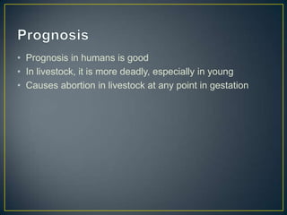 • Prognosis in humans is good
• In livestock, it is more deadly, especially in young
• Causes abortion in livestock at any point in gestation

 