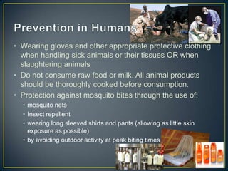 • Wearing gloves and other appropriate protective clothing
when handling sick animals or their tissues OR when
slaughtering animals
• Do not consume raw food or milk. All animal products
should be thoroughly cooked before consumption.
• Protection against mosquito bites through the use of:
• mosquito nets
• Insect repellent
• wearing long sleeved shirts and pants (allowing as little skin
exposure as possible)
• by avoiding outdoor activity at peak biting times

 