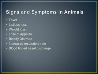 •
•
•
•
•
•
•

Fever
Listlessness
Weight loss
Loss of Appetite
Bloody Diarrhea
Increased respiratory rate
Blood tinged nasal discharge

 