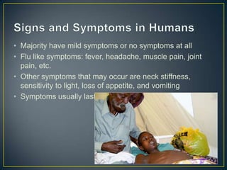 • Majority have mild symptoms or no symptoms at all
• Flu like symptoms: fever, headache, muscle pain, joint
pain, etc.
• Other symptoms that may occur are neck stiffness,
sensitivity to light, loss of appetite, and vomiting
• Symptoms usually last 4 to 7 days

 